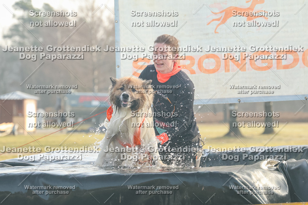 Dog Paparazzi - SD North Sa 830-900-30 | Dog Paparazzi Jeanette Grottendiek Fotografie & Videografie - Realisiert mit Pictrs.com