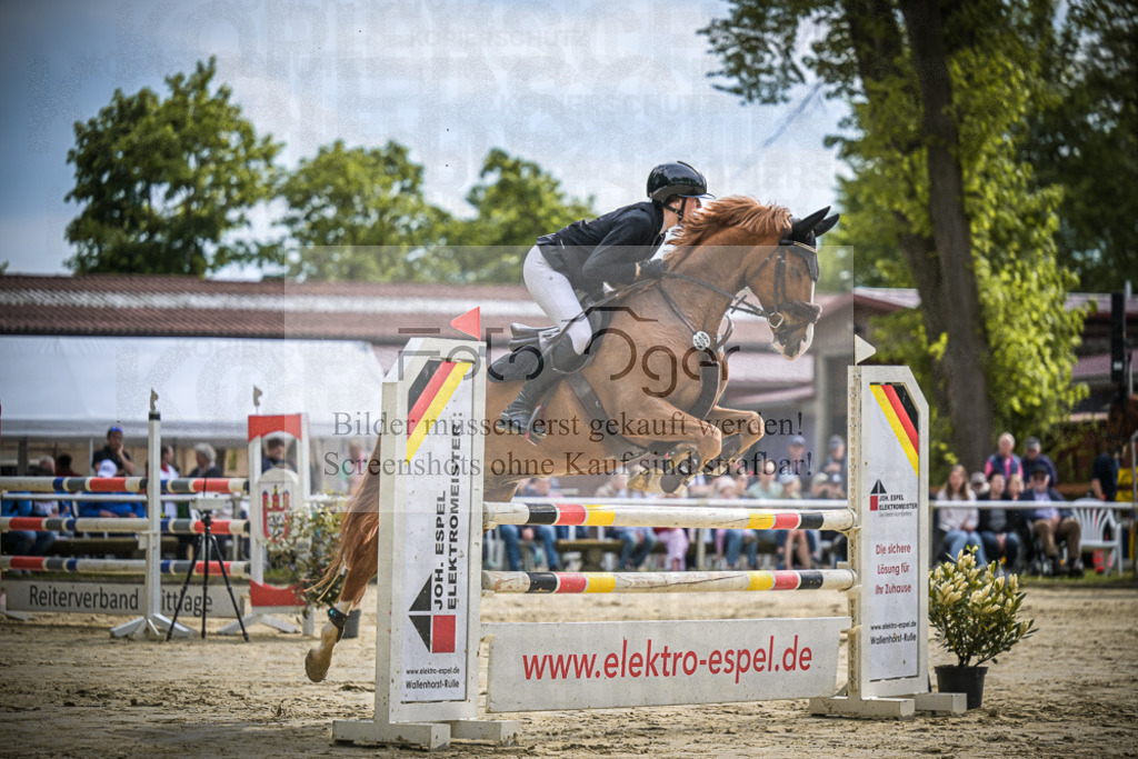 DOS_1598 | Entdecke hochwertige Reitturnierfotos von Foto Oger. Professionell, emotional und authentisch – jetzt Lieblingsmomente im Shop bestellen.Deutschlandweite Turnierfotografie. - Realisiert mit Pictrs.com