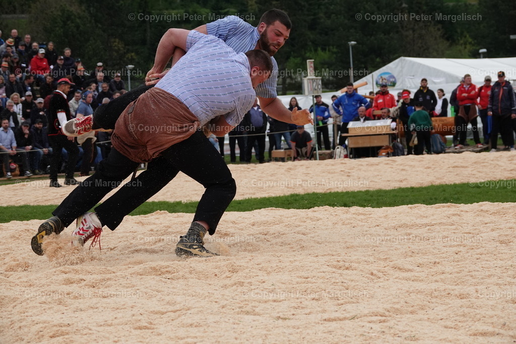 DSC03218 | Schwingen - Realisiert mit Pictrs.com