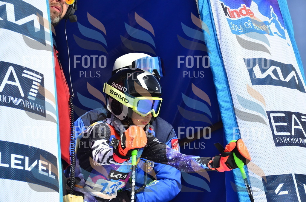 _ELE0847 | holidayphoto