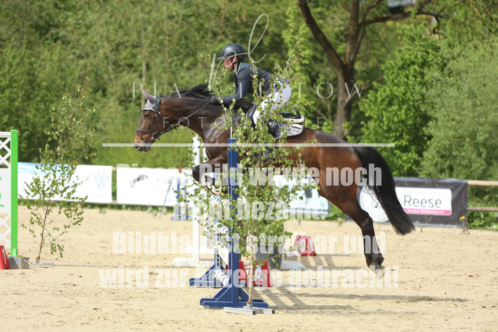 IMGM5733 | pl-fotografie