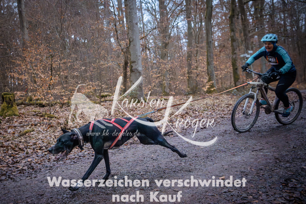 0813_ZZ94395 | kk-dogfotos