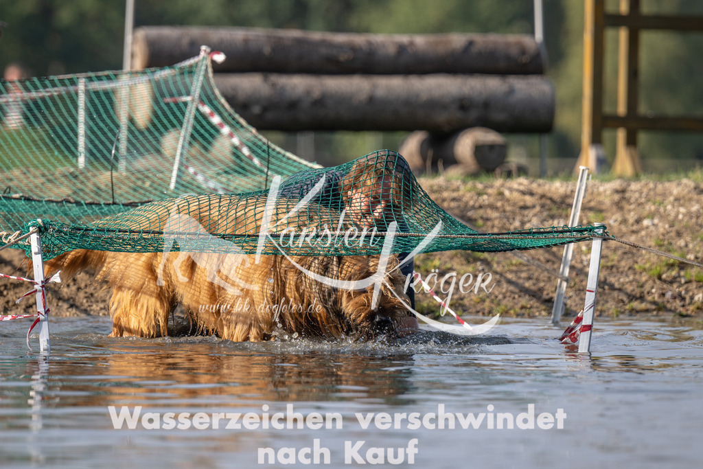 1039_ZZ94409 | kk-dogfotos