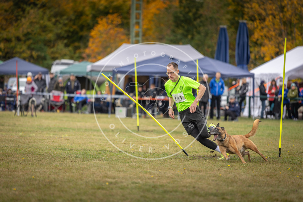 Pfotenfotografie_DV3A8116 | Hundefotografie, Tierfotograf, Pfotenfotografie, Fotoshooting Hund, Hunde Portrait, Hundesport, Hundeportraits, Heideshooting, Hunde, Sportfotograf, Hundefotograf, Turnierhundsport, THS,  - Realisiert mit Pictrs.com