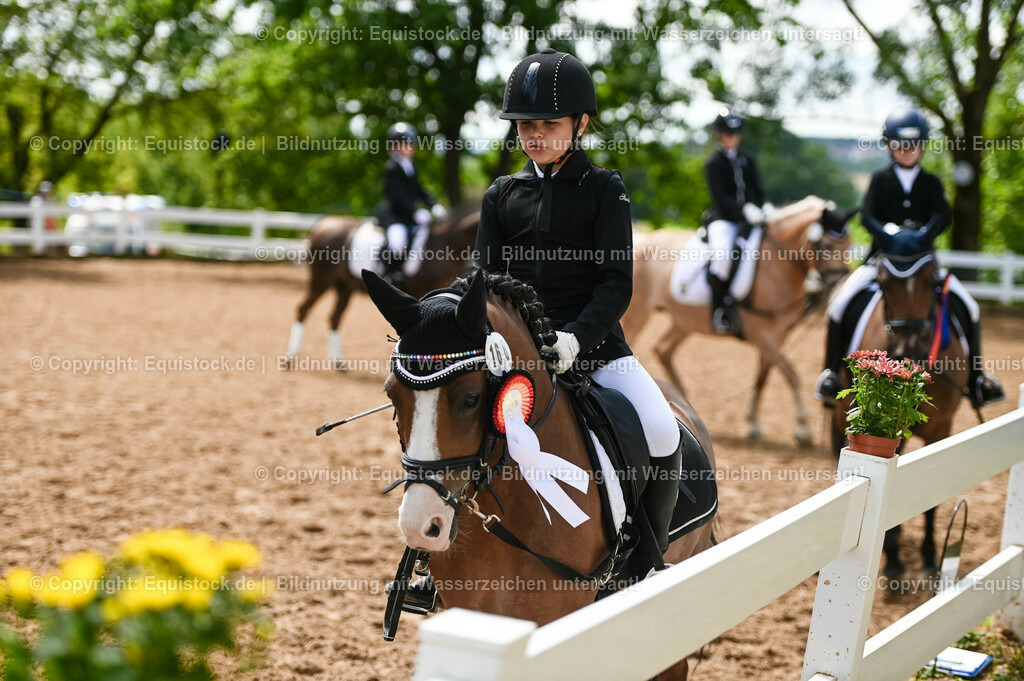 20230716_10-3_Reiter-WB Schritt - Trab - Galopp_0250 | equistock