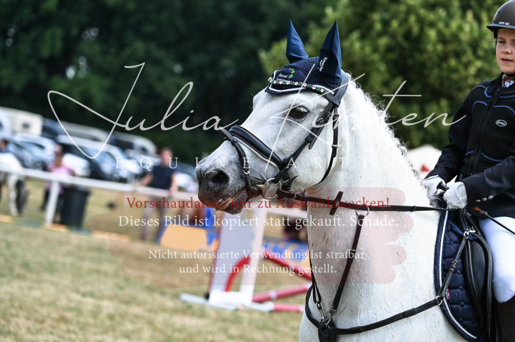 DSC_9606 | Pferde- und Turnierfotografie in Westsachsen. Pferdeportraits, Auftragszeichnungen und intuitive Kunst.