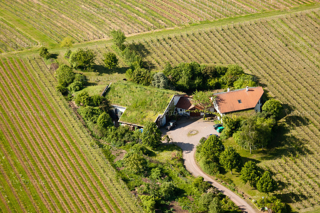Luftbild: BiolandWeinbau Unterm Grassdach Weingut Marzolph im Ortsteil Wollmesheim in Landau im Bundesland Rheinland-Pfalz in Deutschland. Foto: IMG_27256.jpg vom 23.05.2010 durch Werner Riehm/FLY-FOTO.de