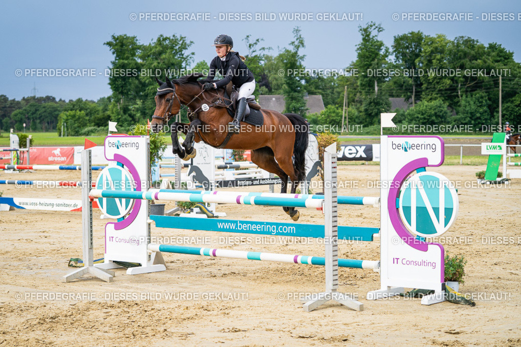 DSC03856 | Pferdegrafie