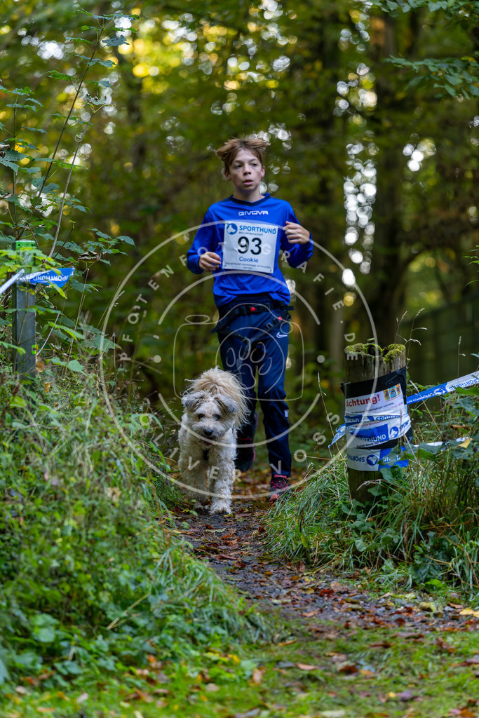 Pfotenfotografie_DV3A7712 | Hundefotografie, Tierfotograf, Pfotenfotografie, Fotoshooting Hund, Hunde Portrait, Hundesport, Hundeportraits, Heideshooting, Hunde, Sportfotograf, Hundefotograf, Turnierhundsport, THS,  - Realisiert mit Pictrs.com