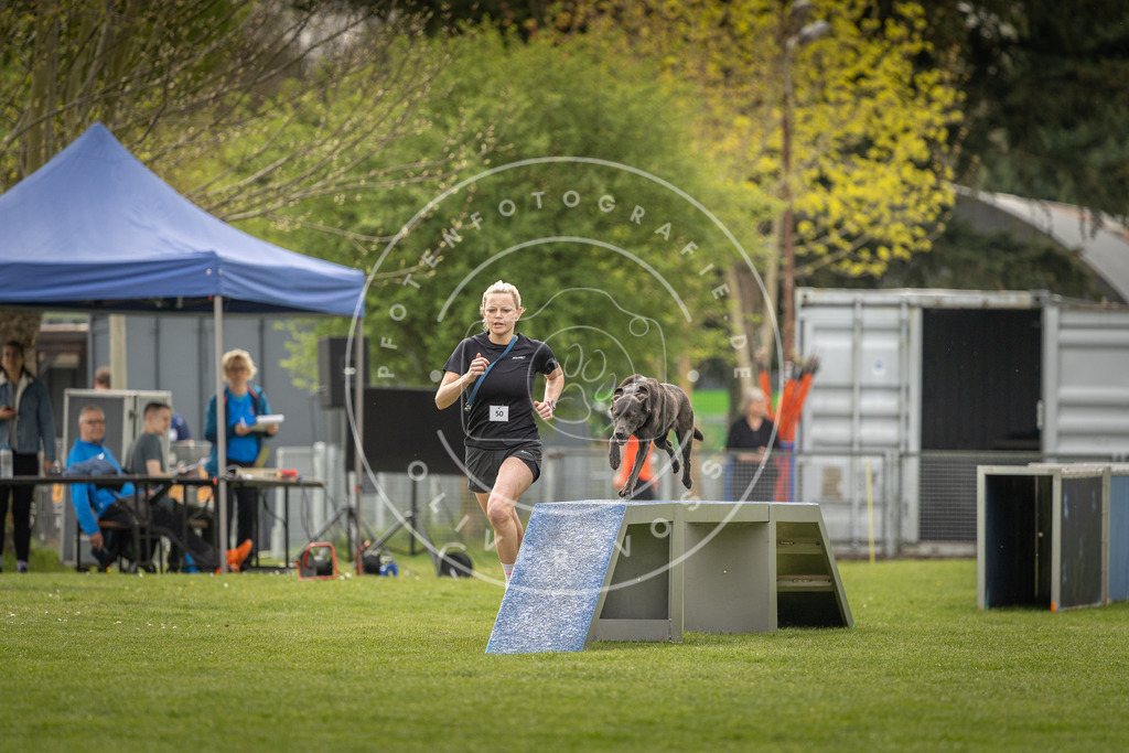 Pfotenfotografie_DV3A6743 | Hundefotografie, Tierfotograf, Pfotenfotografie, Fotoshooting Hund, Hunde Portrait, Hundesport, Hundeportraits, Heideshooting, Hunde, Sportfotograf, Hundefotograf, Turnierhundsport, THS,  - Realisiert mit Pictrs.com