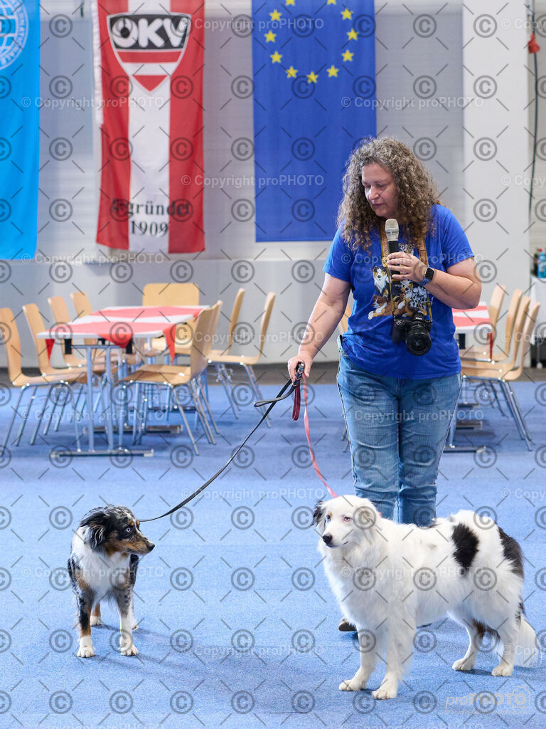 202406_ÖKV-IHA-Tulln24_DSC_4478 | proPHOTO - Realisiert mit Pictrs.com