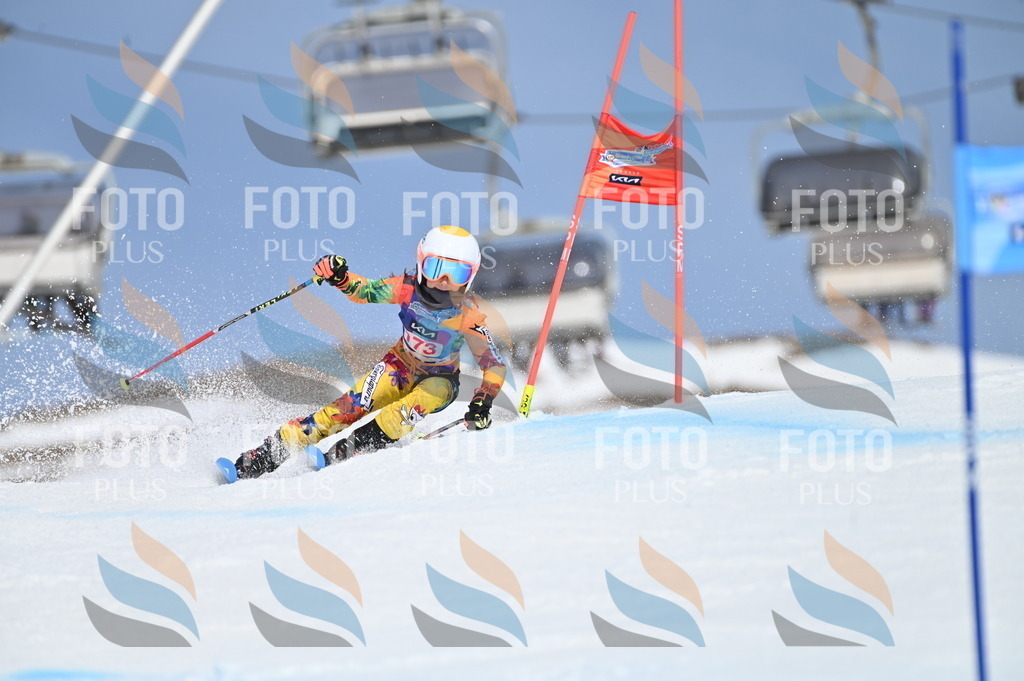 BGV_0478 | holidayphoto