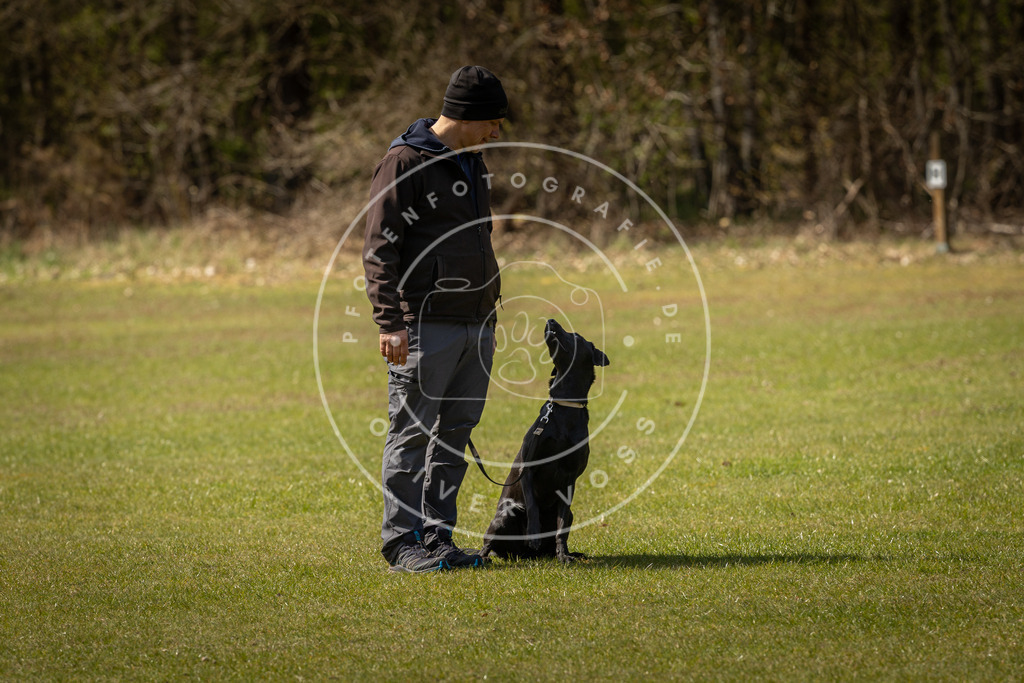 Pfotenfotografie_DV3A1205 | Hundefotografie, Tierfotograf, Pfotenfotografie, Fotoshooting Hund, Hunde Portrait, Hundesport, Hundeportraits, Heideshooting, Hunde, Sportfotograf, Hundefotograf, Turnierhundsport, THS,  - Realisiert mit Pictrs.com