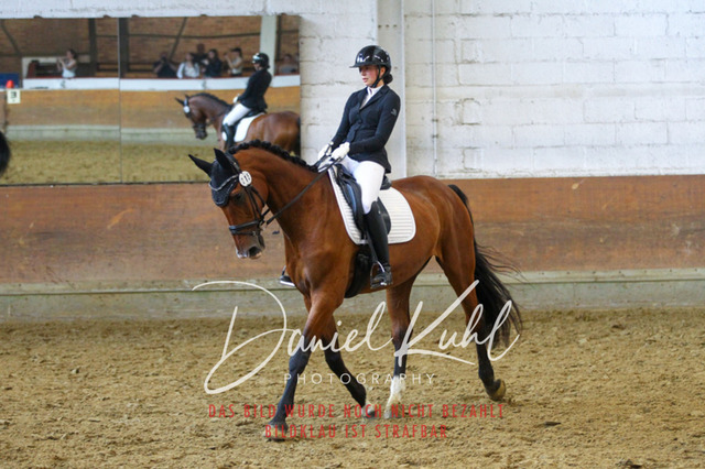 DKP43625 | Turniersportfotografie; Pferdefotografie; Dressurfotografie