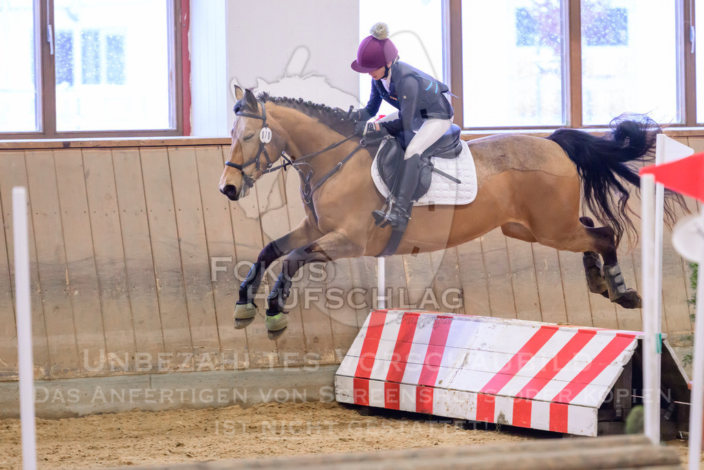 29032026-Schwaiganger-Prfg01-327 | Fokus Hufschlag Fotografie - Realisiert mit Pictrs.com
