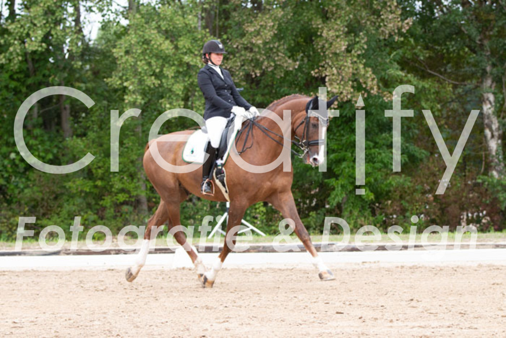 IMG_7229 | Creatify Fotografie