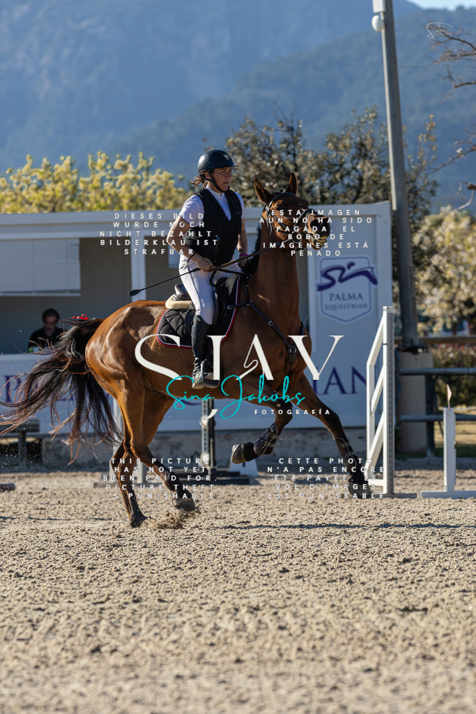 IMG_1935 | s-jay-photography - Realisiert mit Pictrs.com