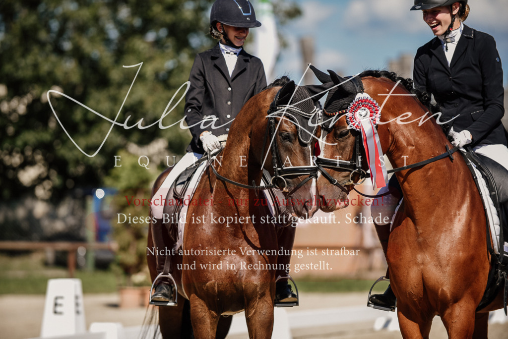 DSC_9796 | Pferde- und Turnierfotografie in Westsachsen. Pferdeportraits, Auftragszeichnungen und intuitive Kunst.