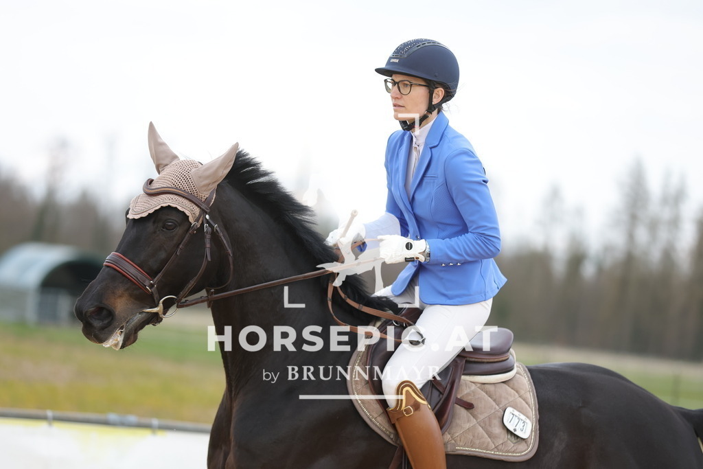 0P6A8335 | Willkommen bei Brunnmayr - Design & Fotografie – Ihrem Spezialisten für Reitturniere und Pferdeveranstaltungen in Oberösterreich, Salzburg und Bayern! Seit über 17 Jahren sind wir leidenschaftlich dabei.