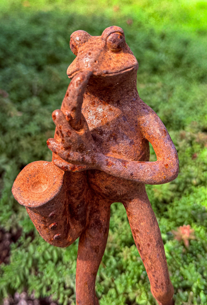 Rostiger Frosch mit Saxophon – Kreative Garten Fotokunst | Originelle und detailreiche Fotokunst: Dieses High-End Wandbild zeigt einen charmanten Frosch mit Saxophon aus charakterstarkem, rostigem Metall im saftig grünen Garten. Die haptische Rost-Oberfläche kontrastiert perfekt mit dem harmonischen, weichen Hintergrund. Ein humorvoller Blickfang voller Rhythmus und Eleganz – ideal als Dekoration für Musikzimmer, Wohnräume oder als einzigartiges Geschenk für Jazz-Fans auf Alu-Dibond oder Acrylglas. - Realisiert mit Pictrs.com