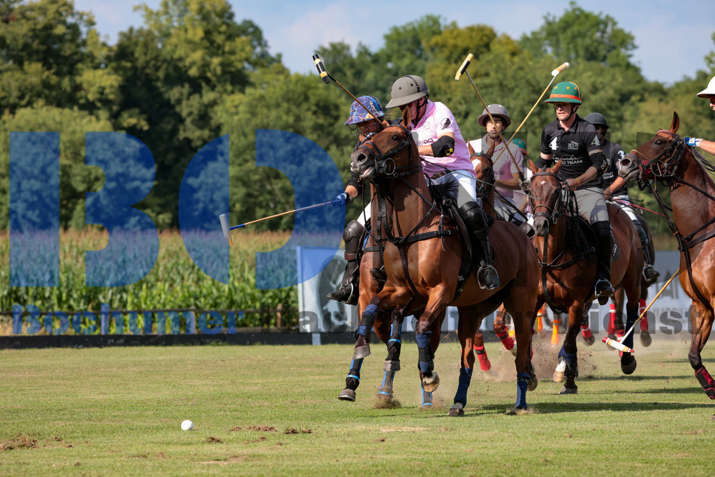 20. Polopicknick Muenster {date} -  | {headline}(Foto: Sebastian Sendlak / BOND) - Realisiert mit Pictrs.com