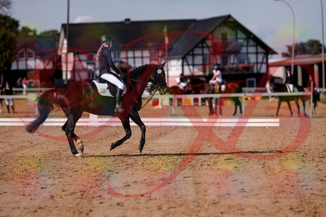 2026_10_03_Siefer-Hof_115615_Z81_96551797 | Professionelle Reitsport-, Turnier- und Eventfotografie von Robert Broda. Galerien mit ausgewählten und bearbeiteten Bildern direkt online ansehen und bestellen.