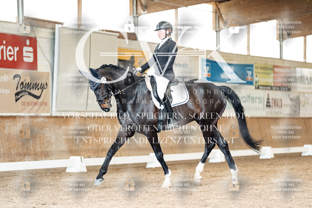 CK901140 | Turnierfotografie Pferdefotografie Trier Rheinland-Pfalz Pferdesport Reitsport Tierfotografie Sportfotografie Pferdevideo Pferdevideografie Equestrianvideography equestrianphotography  - Realisiert mit Pictrs.com
