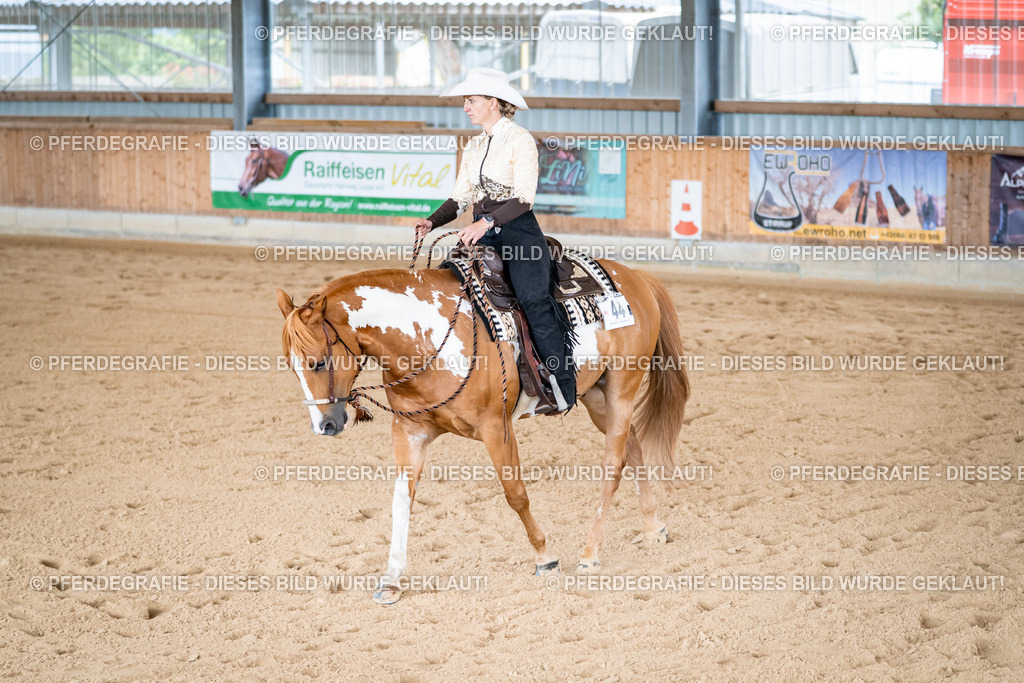 DSC02246 | Pferdegrafie