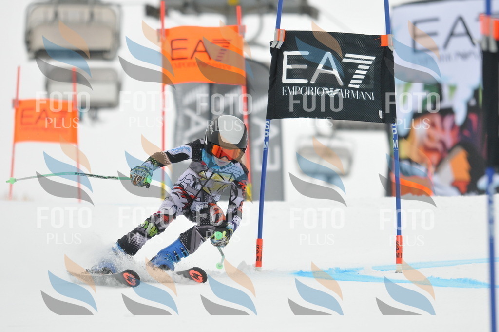 DSC_7314 | holidayphoto