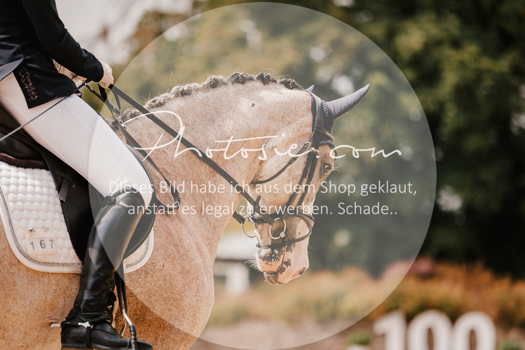 3I6A6148 | Stimmungsvolle Portraits und Reitsportfotografie im Ruhrgebiet und im Münsterland.

Pferdefotografie, Hundefotografie, Tierfotografie, Reportagen, Portraits von Tier und Mensch, Turnierfotografie in Bochum, Recklinghausen, Marl, Haltern am See, Dülmen.. - Realisiert mit Pictrs.com