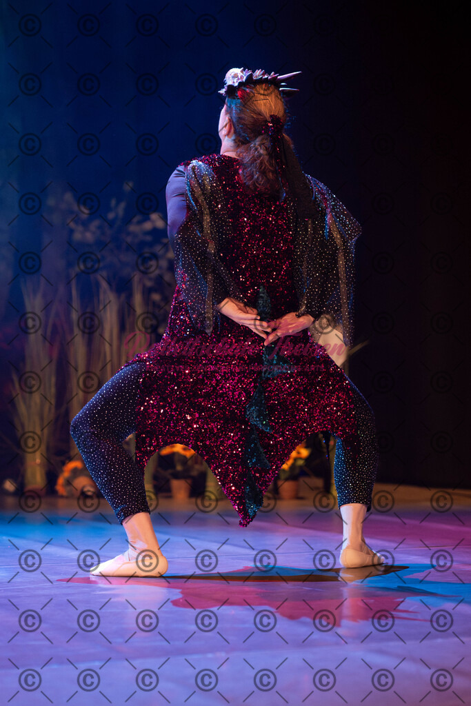Ballettaufführung-1417 | Bildershop Lem'n Entertainment - Realisiert mit Pictrs.com