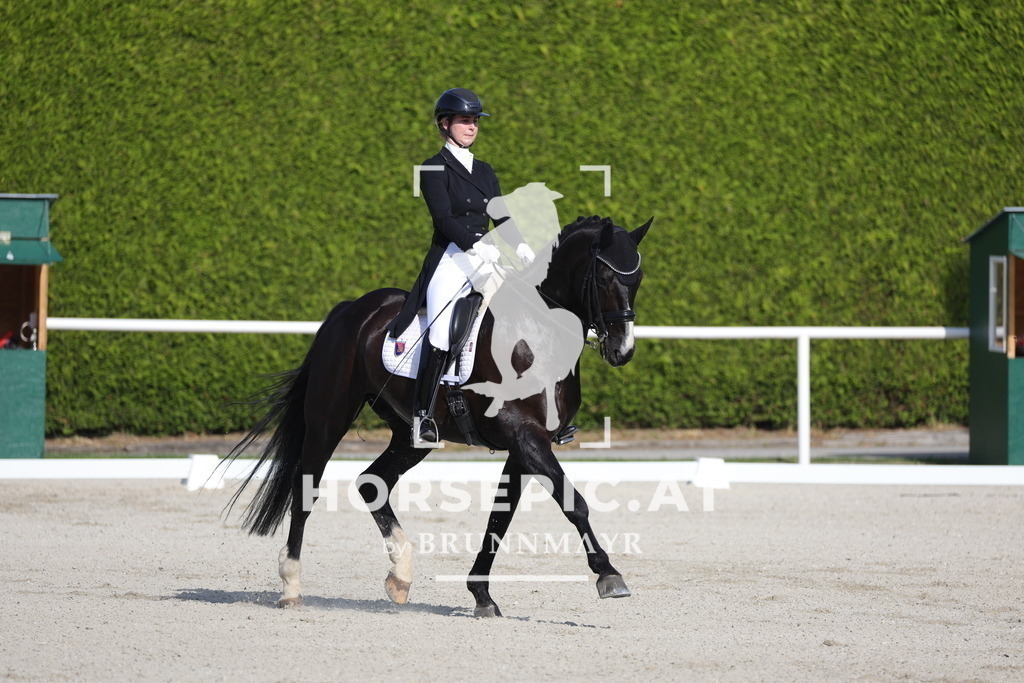 0P6A3517 | Willkommen bei Brunnmayr - Design & Fotografie – Ihrem Spezialisten für Reitturniere und Pferdeveranstaltungen in Oberösterreich, Salzburg und Bayern! Seit über 17 Jahren sind wir leidenschaftlich dabei.