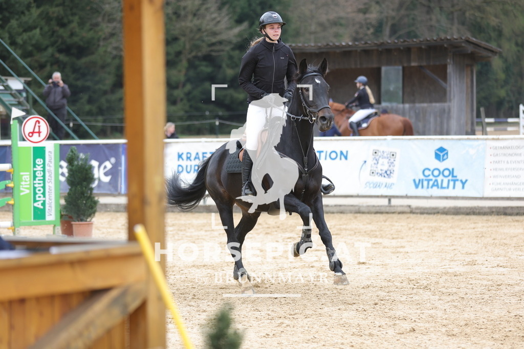 0P6A4563 | Willkommen bei Brunnmayr - Design & Fotografie – Ihrem Spezialisten für Reitturniere und Pferdeveranstaltungen in Oberösterreich, Salzburg und Bayern! Seit über 17 Jahren sind wir leidenschaftlich dabei.