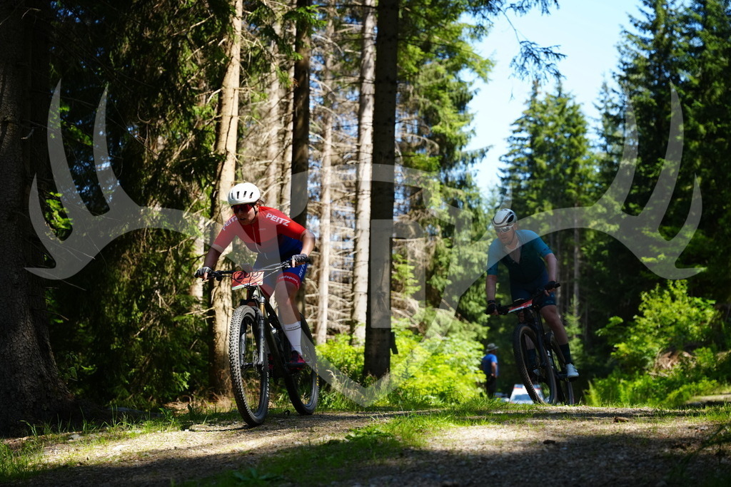 FC101851 | Fotogalerie der Treibjagd im Dunkelwald - Dein MTB Etappenrennen im Erzgebirge - Realisiert mit Pictrs.com