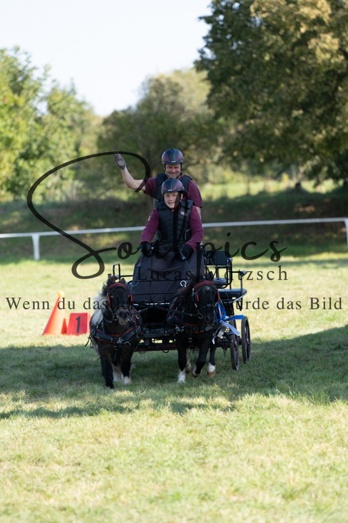 A7V04437 | Pferdefotograf