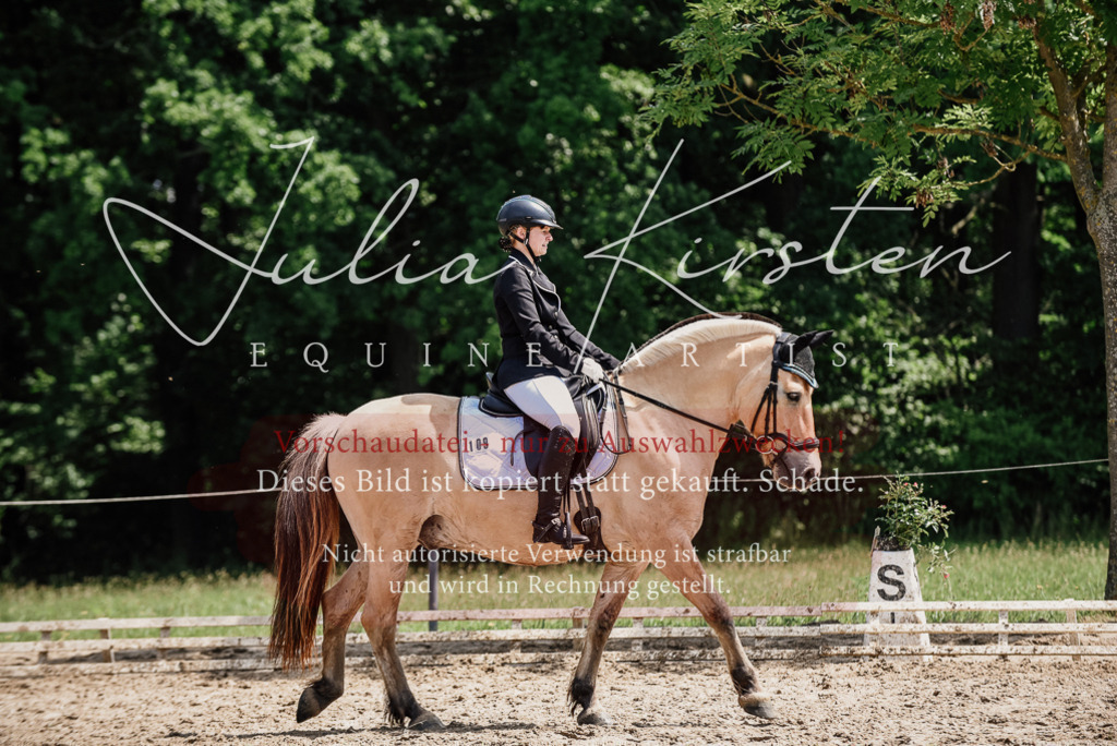 DSC_1649 | Pferde- und Turnierfotografie in Westsachsen. Pferdeportraits, Auftragszeichnungen und intuitive Kunst.
