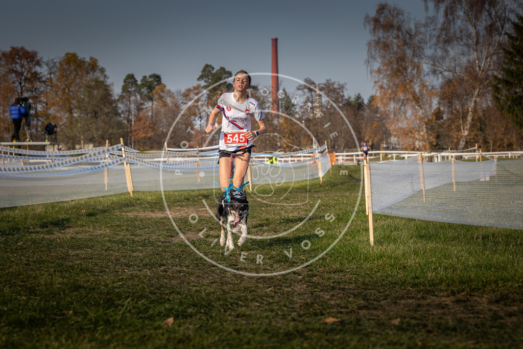 CaniXpix_0L8A9352 | Hundefotografie, Tierfotograf, Pfotenfotografie, Fotoshooting Hund, Hunde Portrait, Hundesport, Hundeportraits, Heideshooting, Hunde, Sportfotograf, Hundefotograf, Turnierhundsport, THS,  - Realisiert mit Pictrs.com