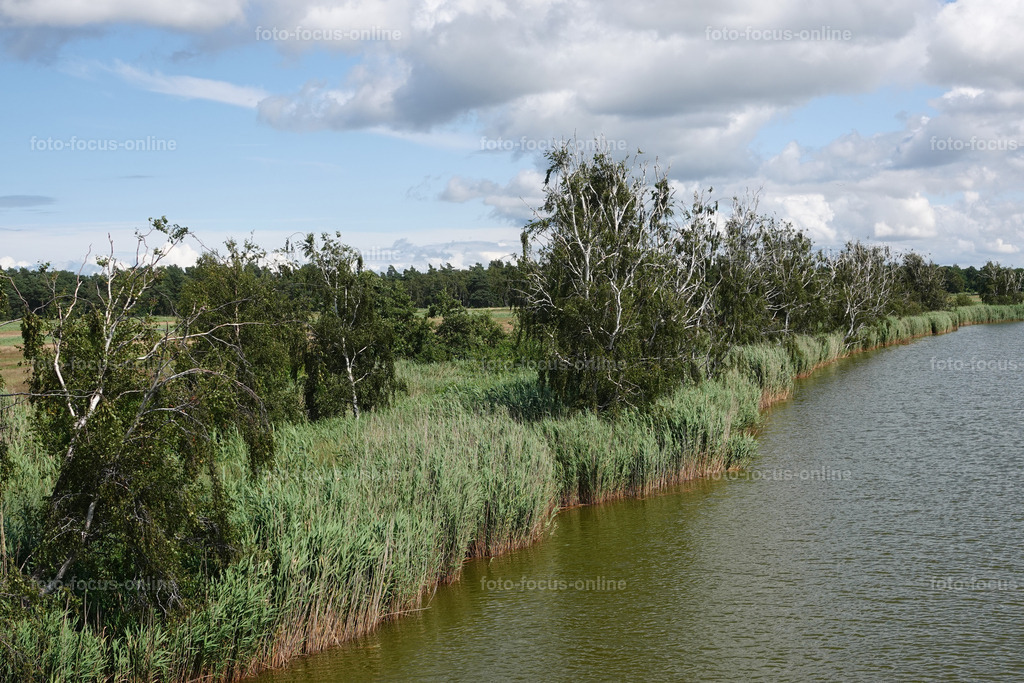 Prerow Bodden Landscape | foto-focus-online