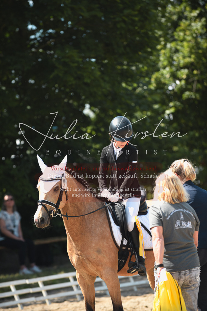 DSC_2556 | Pferde- und Turnierfotografie in Westsachsen. Pferdeportraits, Auftragszeichnungen und intuitive Kunst.