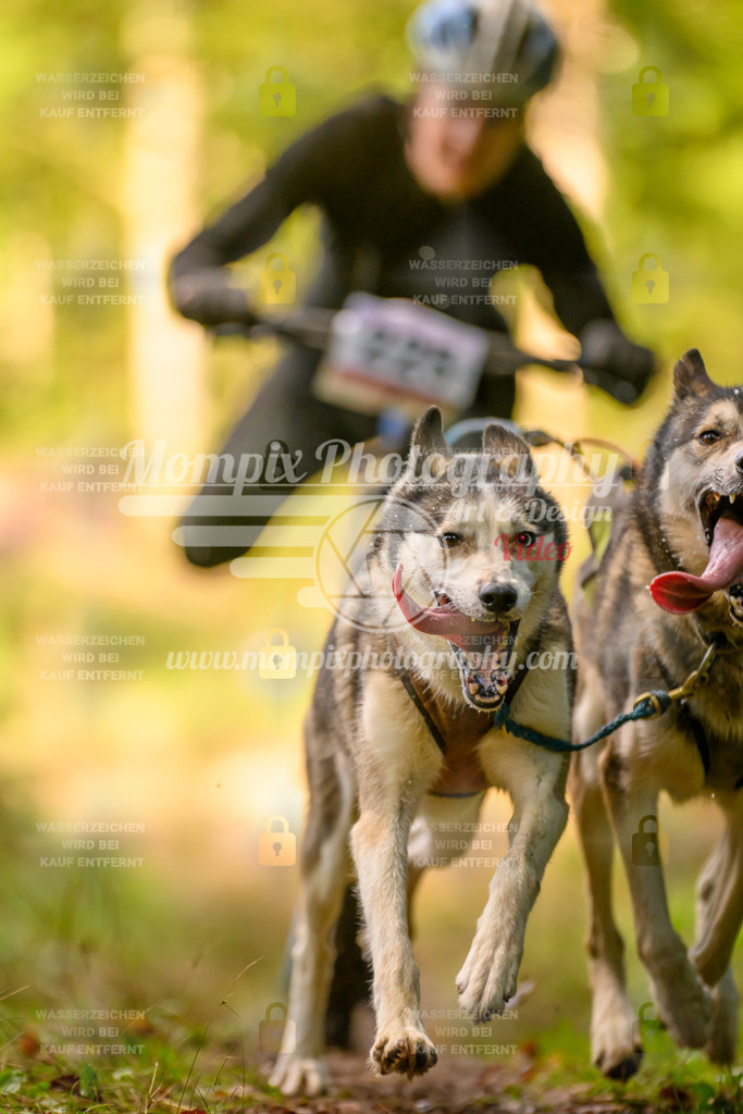 MompixPhotography_Yens2025_B3-226 | PayLife