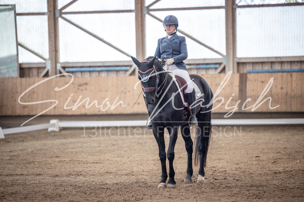 20251011-_3LI1121 | Tierfotografie Pferde, Hunde, Katzen, Haustiere.
Turnierfotografie Reitturniere, Reiten, Springreiten, Dressur in Hanau, dem Main-Kinzig-Kreis und dem Rhein-Main- Gebiet um Frankfurt