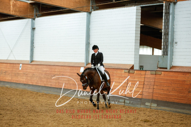 _62_6216 | Turniersportfotografie; Pferdefotografie; Dressurfotografie