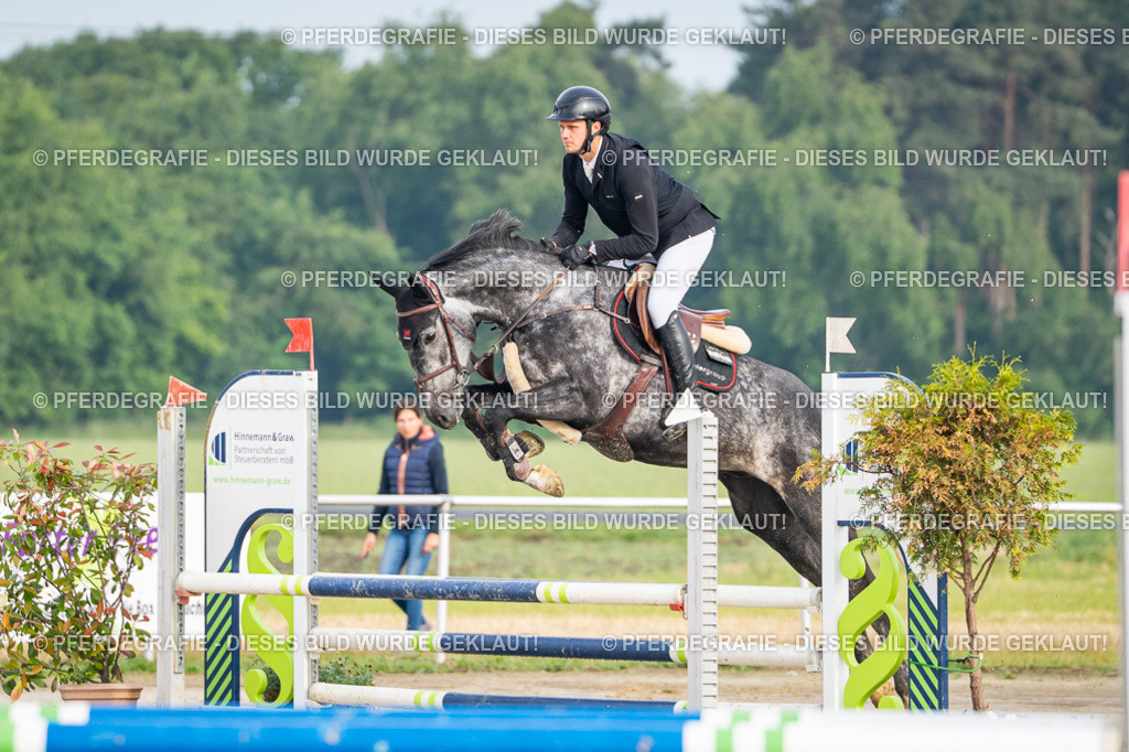 DSC07632 | Pferdegrafie