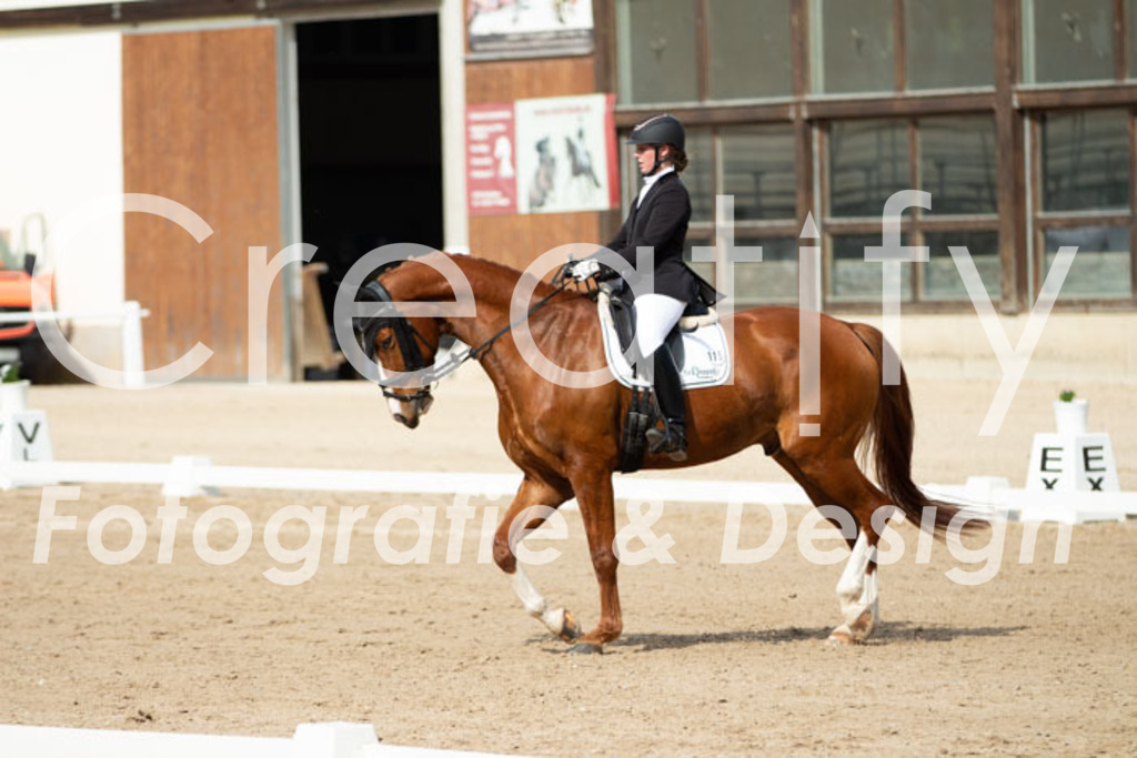 IMG_1319 | Creatify Fotografie