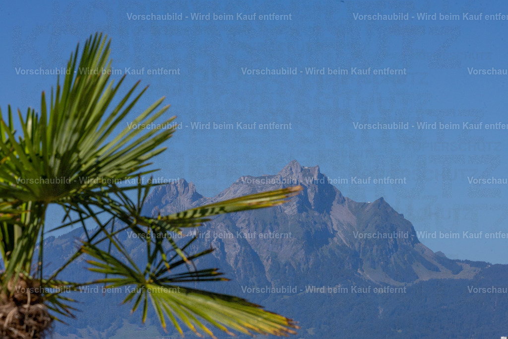 IMG_6075 | Stimmungsvolle Fotokunst aus Luzern. Erlebe den Pilatus, den See und die Stadt Luzern in exklusiven Aufnahmen in der Fotogalerie & Shop. - Realisiert mit Pictrs.com
