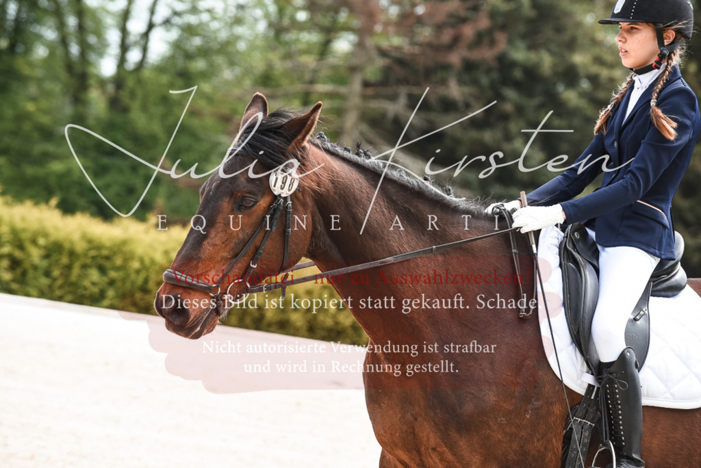 20230518_JK-Röhrsdorf-11-0069 | Pferde- und Turnierfotografie in Westsachsen. Pferdeportraits, Auftragszeichnungen und intuitive Kunst.