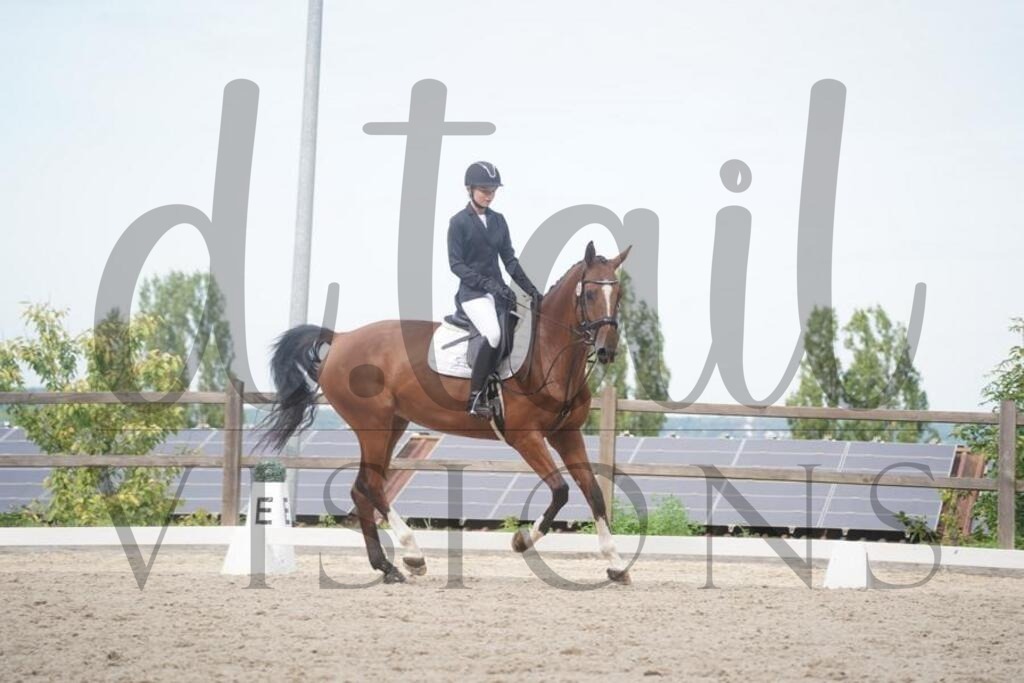 tgbhsamstag (622) | d.tail Visions - Shop - Realisiert mit Pictrs.com