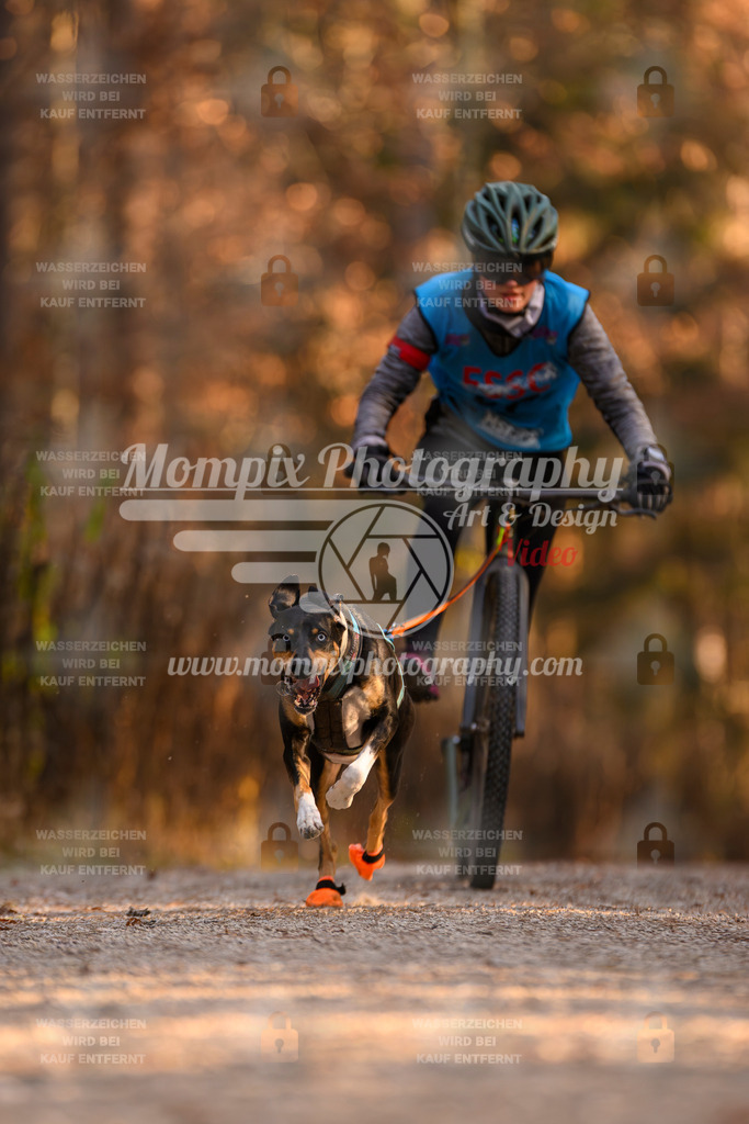 MompixPhotography_DM_AKDM_SO_2025_Scooter-115 | PayLife