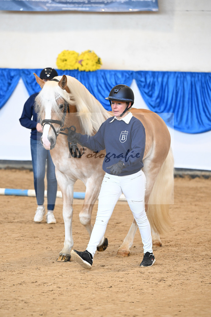 Kat-Nr. 17 Maximus Aurelius v. Manu_ZG Veerkamp-Rabbermann_48250952 | hf-fotografie - Realisiert mit Pictrs.com