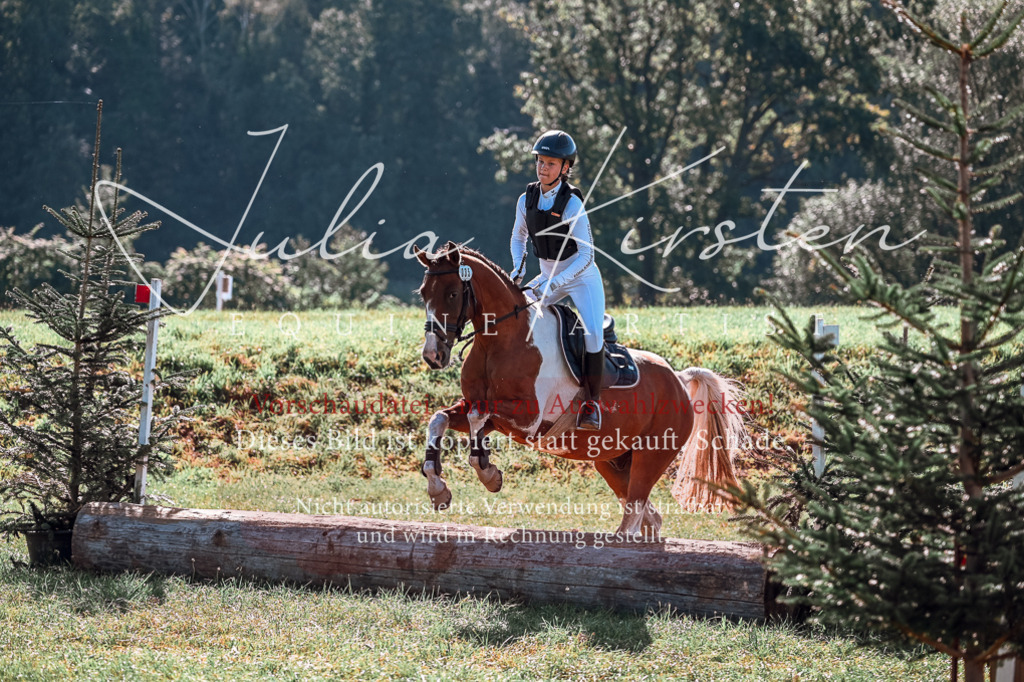 DSC_1017 | Pferde- und Turnierfotografie in Westsachsen. Pferdeportraits, Auftragszeichnungen und intuitive Kunst.